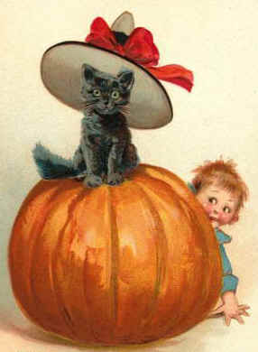 black cat and baby with pumpkin